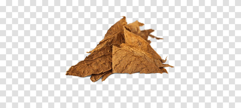 Tobacco, Nature, Leaf, Plant, Wood Transparent Png