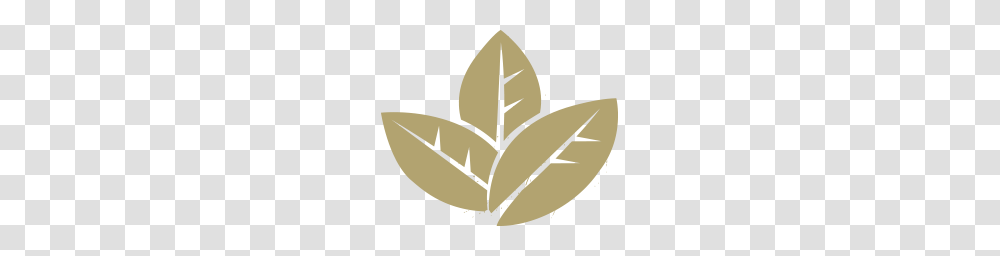 Tobacco, Nature, Sand, Outdoors, Home Decor Transparent Png