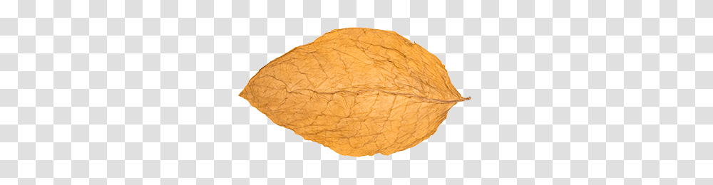 Tobacco, Nature, Soil, Rug, Plant Transparent Png