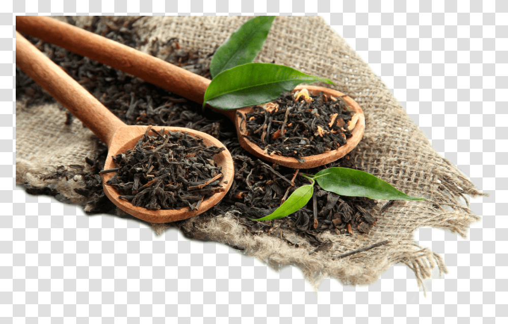 Tobacco Plant, Leaf, Snake, Animal, Soil Transparent Png