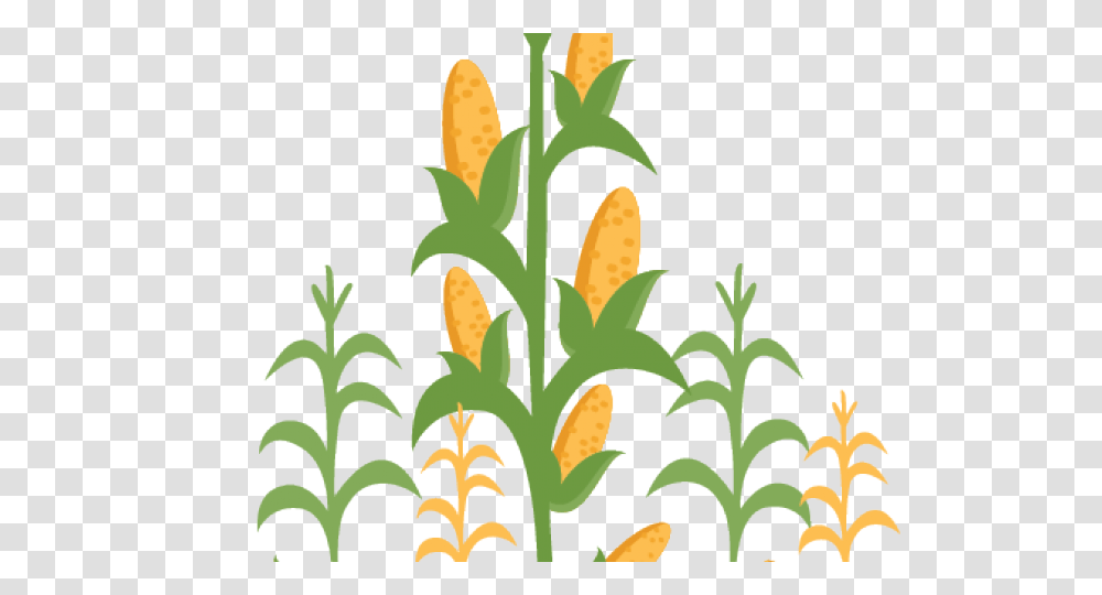 Tobacco Stalk Cliparts Free Download Clip Art, Plant, Vegetable, Food, Corn Transparent Png