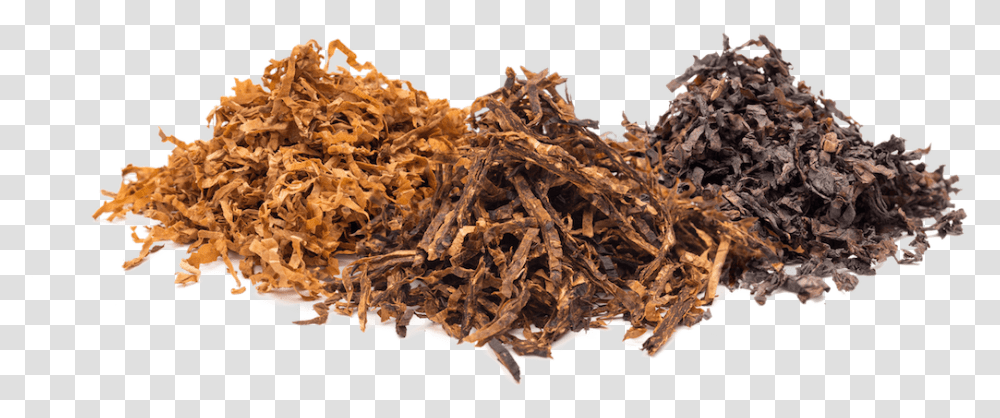 Tobacco, Wood, Fungus, Driftwood Transparent Png