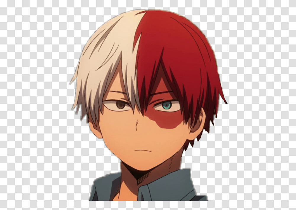 Todoroki Shouto Bokunoheroacademia Myheroacademia Bnha Anime Red And White Hair Boy, Person, Human, Manga, Comics Transparent Png