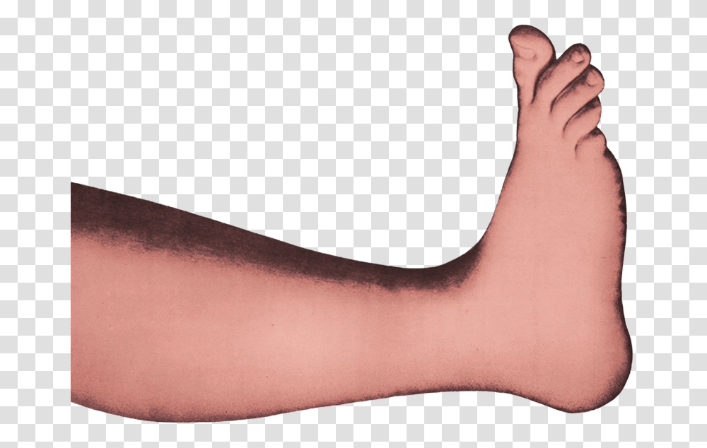 Toe, Arm, Person, Human, Ankle Transparent Png