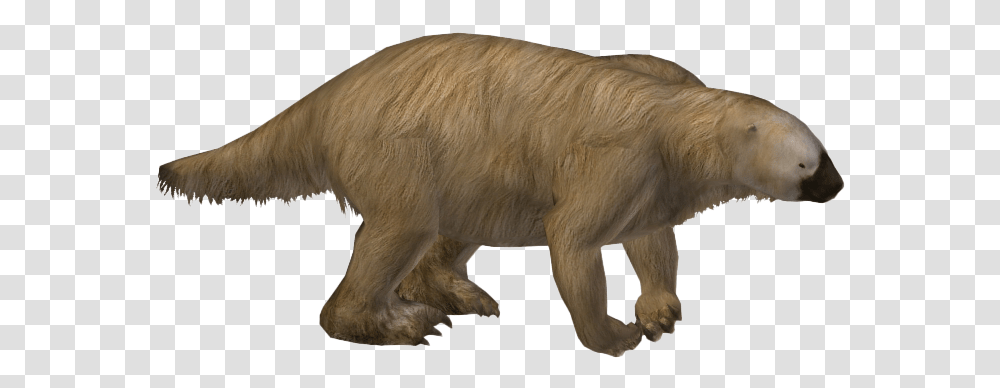 Toed Sloth Image, Wildlife, Animal, Mammal, Bear Transparent Png