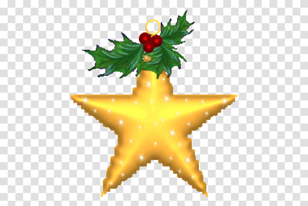 Toiles Bottes Et Sapins De Nol Dcembre Christmas Star Gif, Star Symbol, Sea Life, Animal Transparent Png