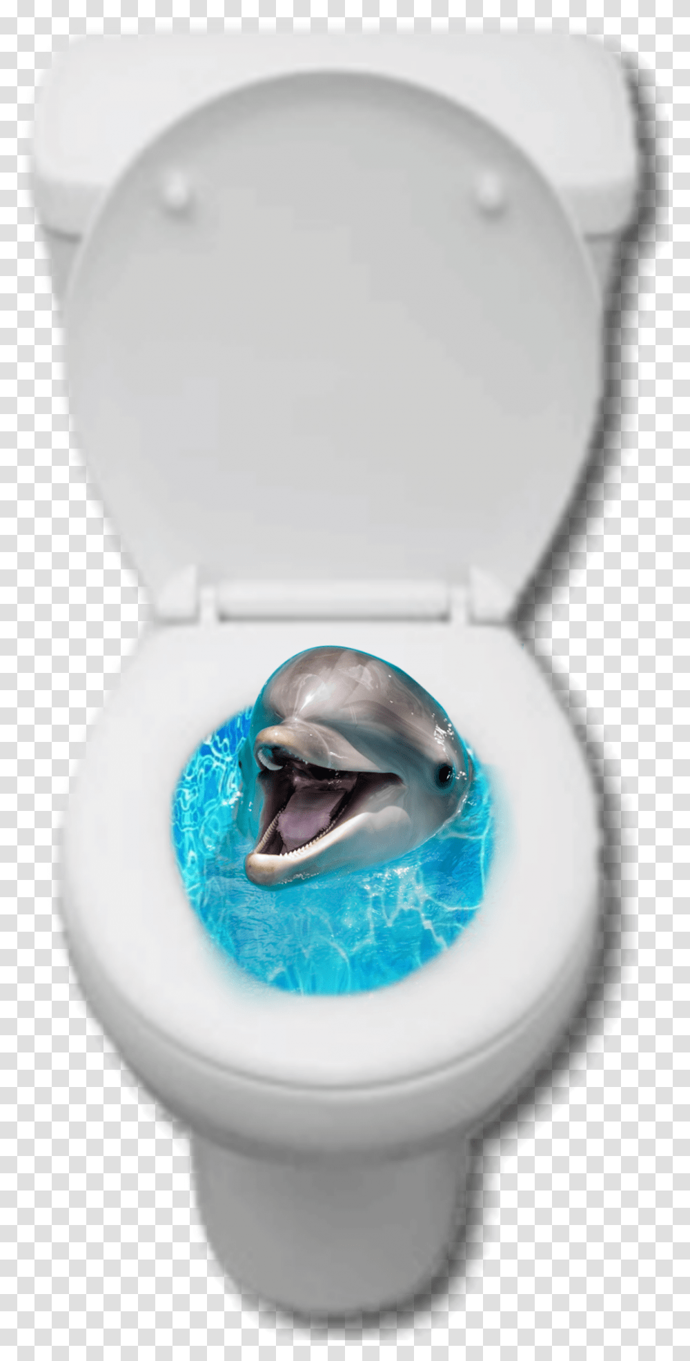 Toilet Dolphin Collage Golfinho Privada Aestheticshit Short Beaked Common Dolphin, Sea Life, Animal, Bathroom, Indoors Transparent Png