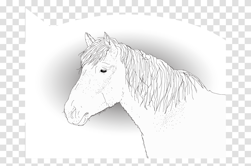 Toivottu Poika Outlines Ore E Ref C Q Xxx E 1 A Hevoslinja Trans Horse Img.psd, Animals, Mammal, Drawing Transparent Png