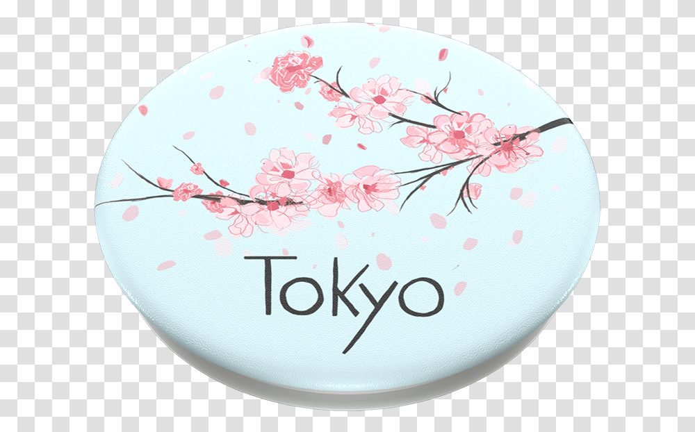 Tokyo Dot, Plant, Birthday Cake, Dessert, Food Transparent Png