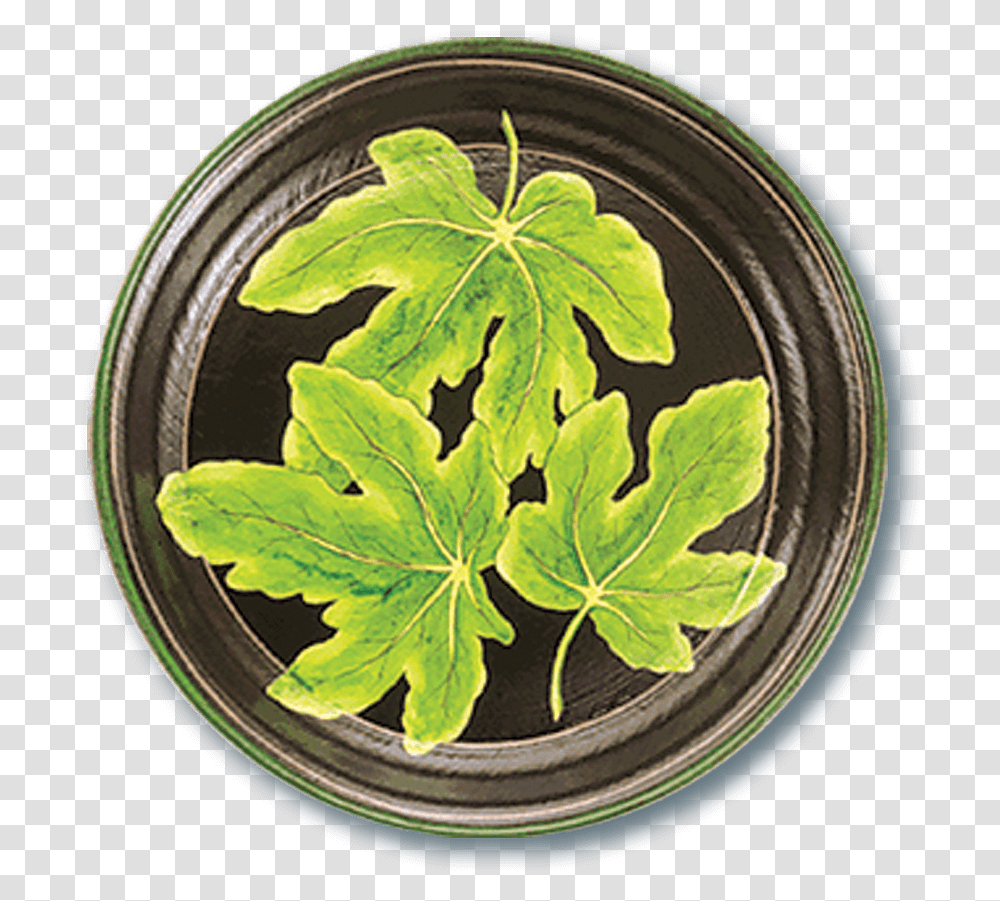 Tol 48 Fig Leaf, Plant, Painting, Bowl Transparent Png