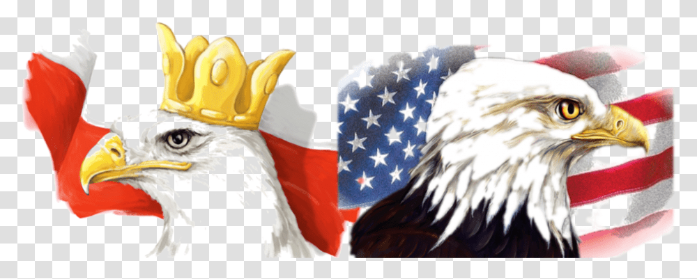 Toledo Polish American Festival Polish And American Eagle, Bird, Animal, Chicken, Poultry Transparent Png