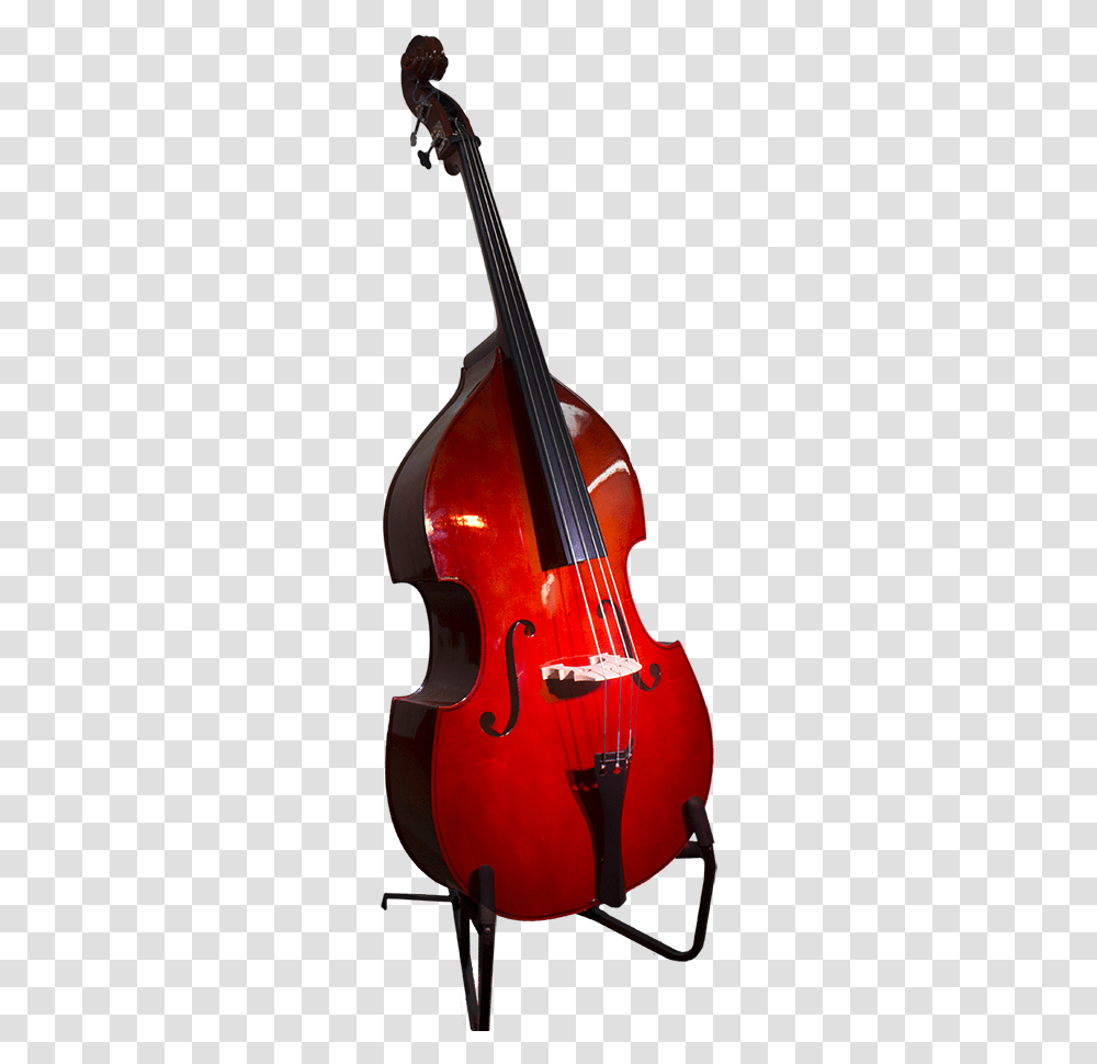 Tololoche, Cello, Musical Instrument Transparent Png