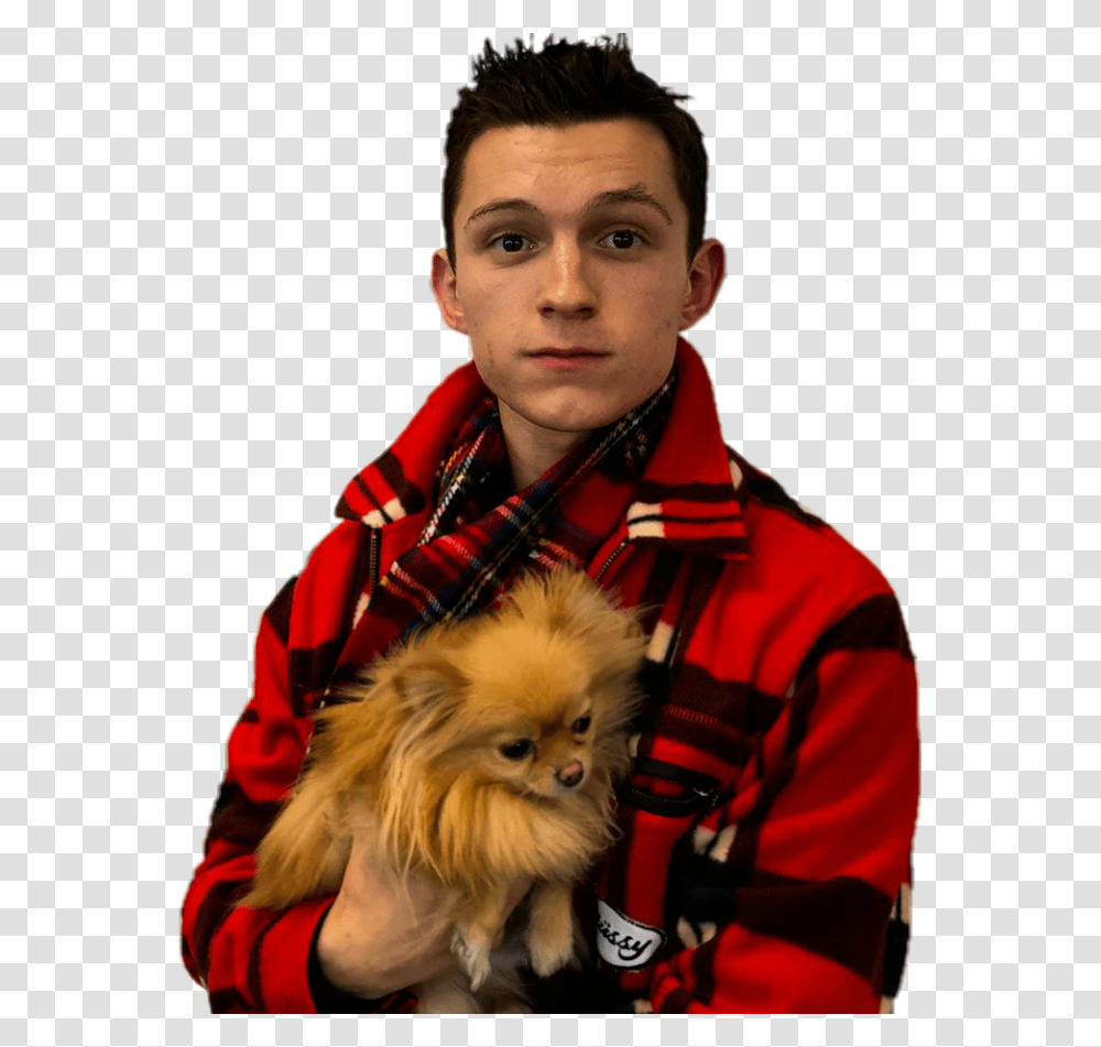 Tom Holland And Dog Download Tom Holland And A Dog, Person, Animal, Mammal, Pet Transparent Png