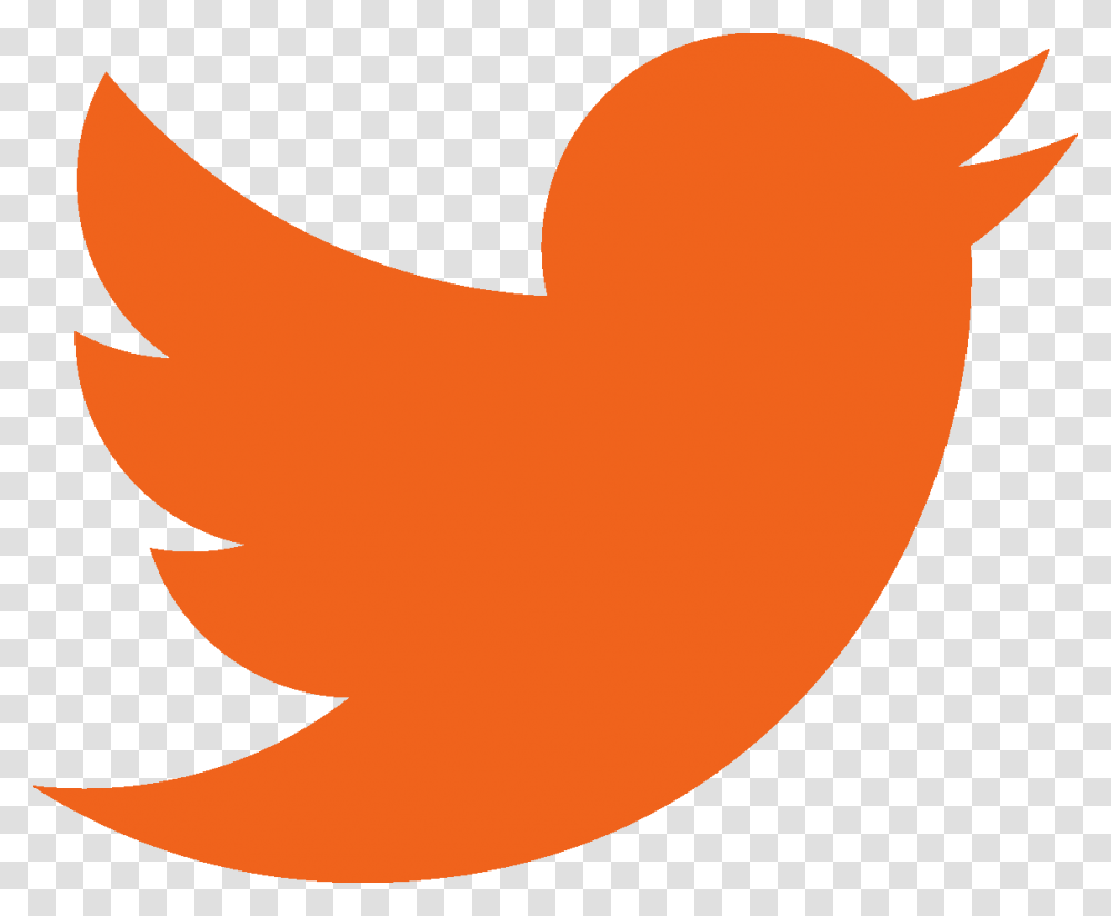Toma Sound Factory S Twitter Orange Twitter Logo, Trademark, First Aid Transparent Png