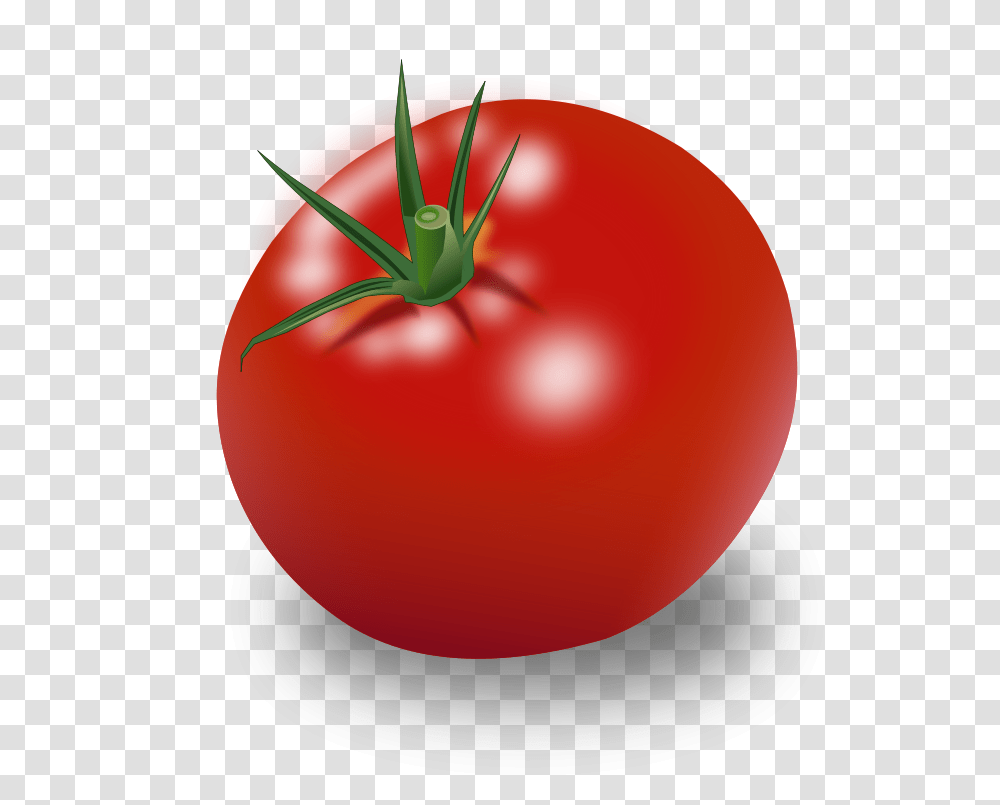 Tomate 2010, Nature, Plant, Vegetable, Food Transparent Png