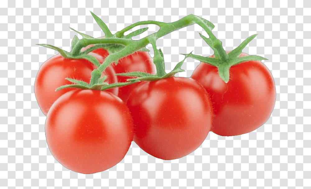 Tomate Cherry Rama Tomates Cherry, Plant, Vegetable, Food, Tomato Transparent Png