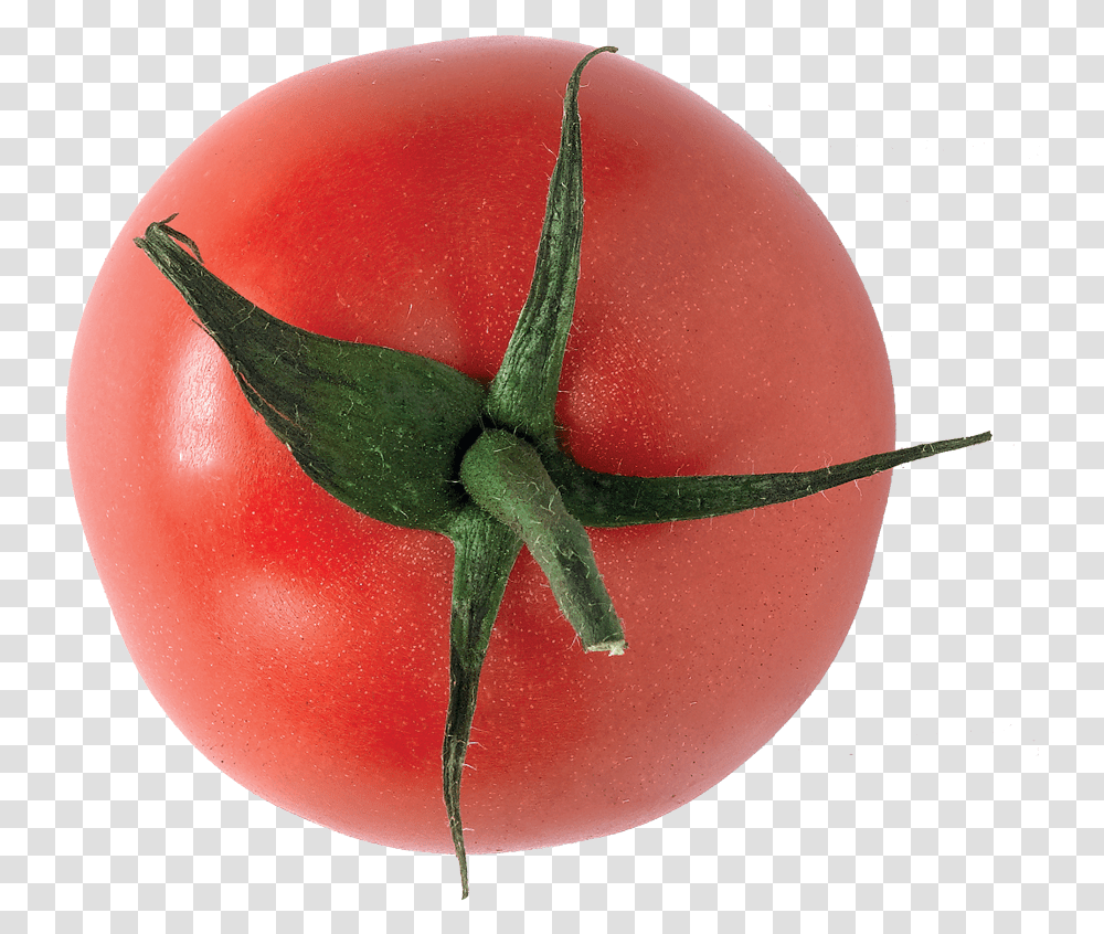 Tomate Plum Tomato, Plant, Vegetable, Food Transparent Png