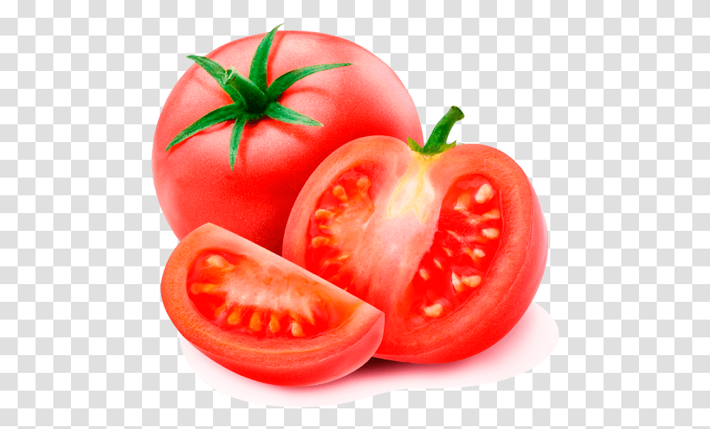 Tomate Santa Clara Imagenes De Tomate, Plant, Vegetable, Food, Tomato Transparent Png
