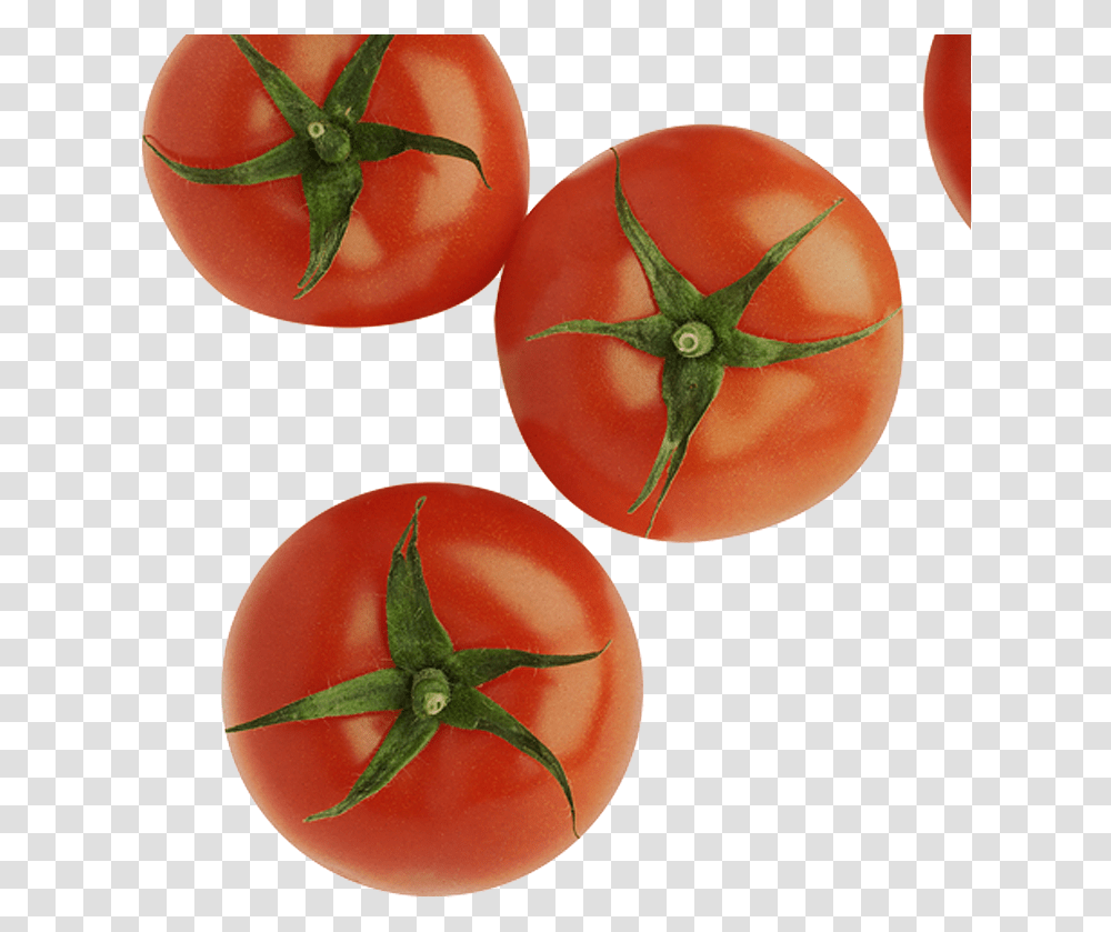 Tomates Desde Arriba Hd Download Cosecha De Tomate En Puerto Rico, Plant, Vegetable, Food, Tomato Transparent Png