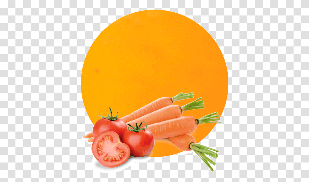 Tomates Y Zanahorias, Plant, Carrot, Vegetable, Food Transparent Png