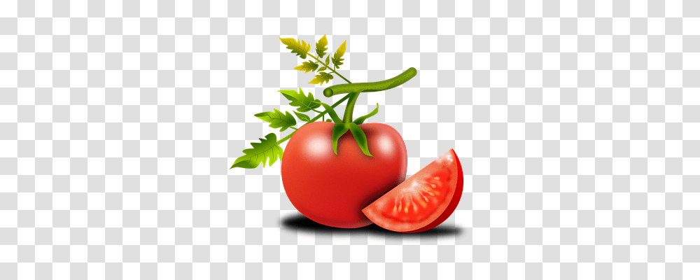 Tomato Nature, Plant, Vegetable, Food Transparent Png