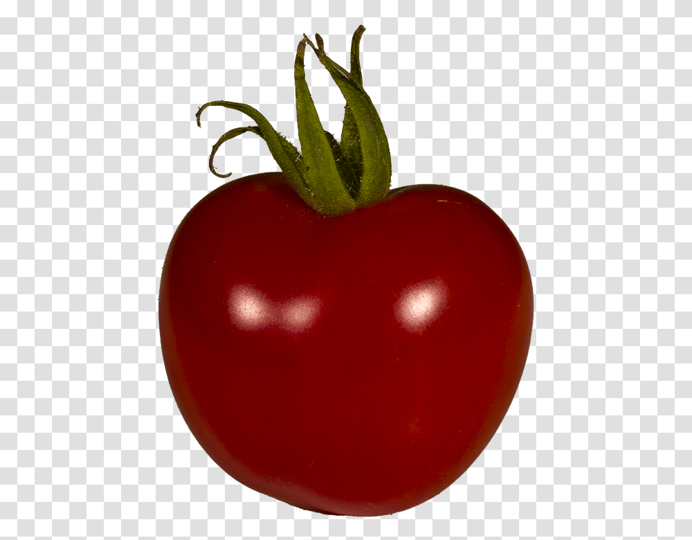 Tomato 960, Vegetable, Plant, Food, Fruit Transparent Png