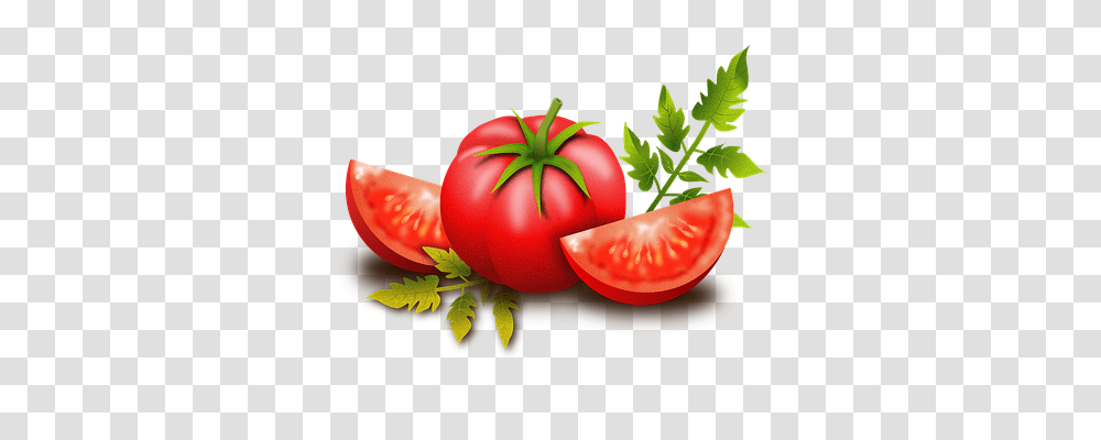 Tomato Nature, Plant, Vegetable, Food Transparent Png