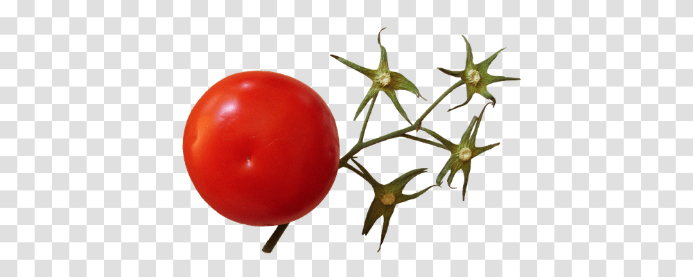 Tomato Food, Plant, Balloon, Vegetable Transparent Png