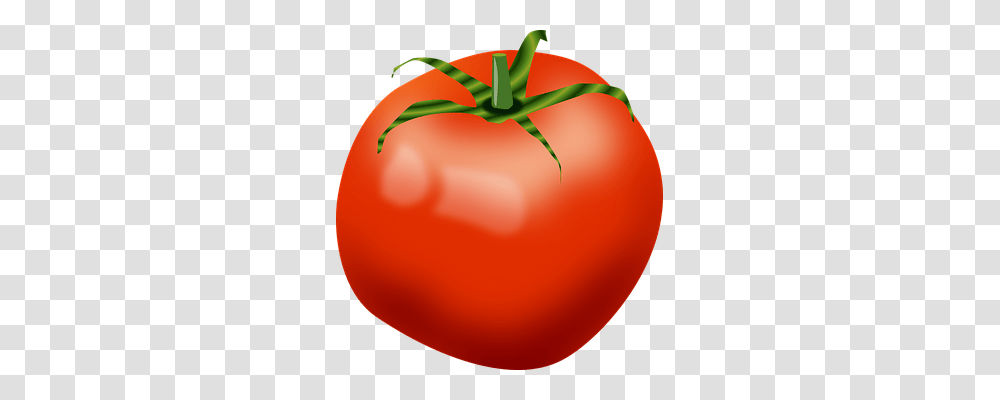 Tomato Plant, Balloon, Vegetable, Food Transparent Png