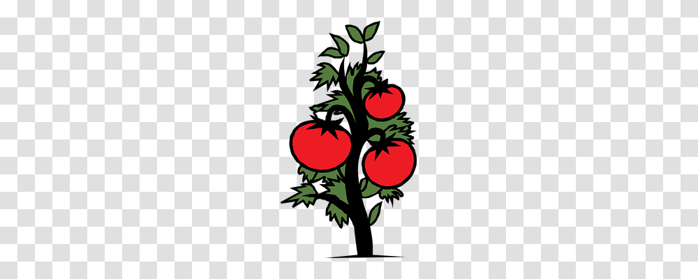 Tomato Nature, Plant, Food Transparent Png