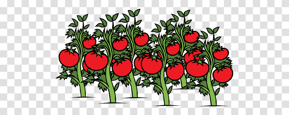 Tomato Nature, Floral Design Transparent Png