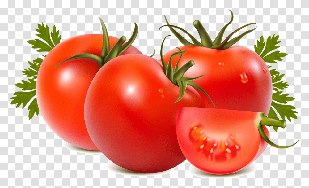 Tomato And Kidney Stone Everyday Life Tomato, Plant, Vegetable, Food Transparent Png