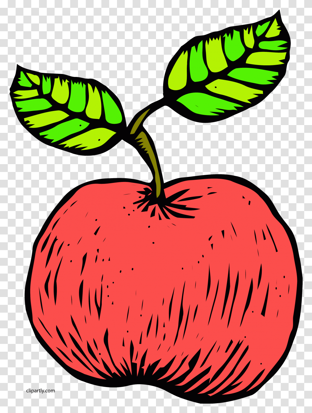 Tomato Apple Clipart Clip Art, Plant, Fruit, Food, Leaf Transparent Png