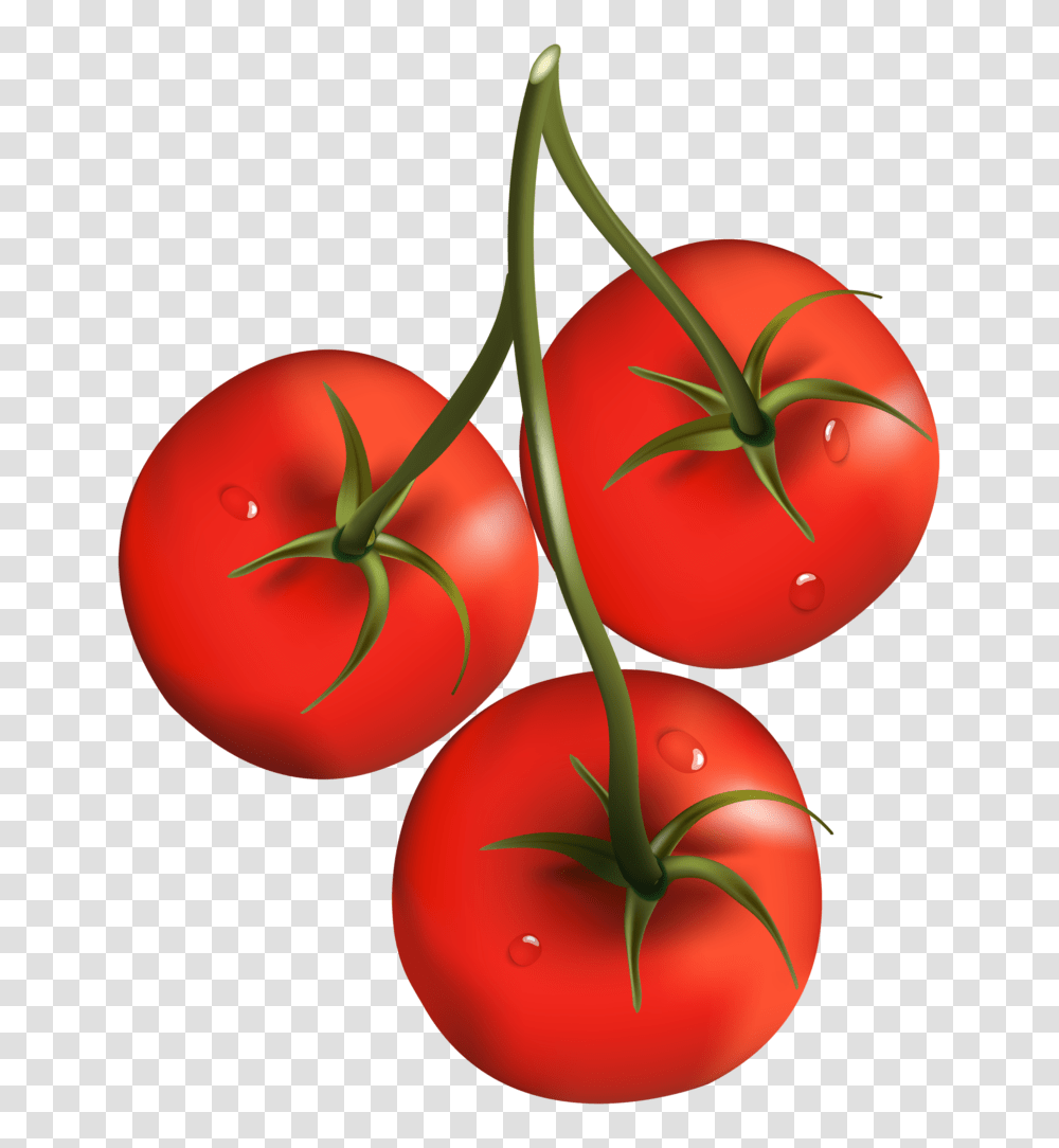 Tomato Branch Clipart Clip Art, Plant, Food, Fruit, Vegetable Transparent Png