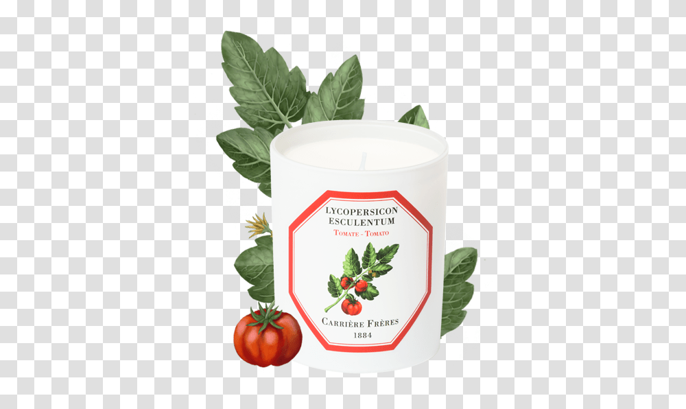 Tomato Carriere Freres Tomato, Plant, Food, Leaf, Potted Plant Transparent Png