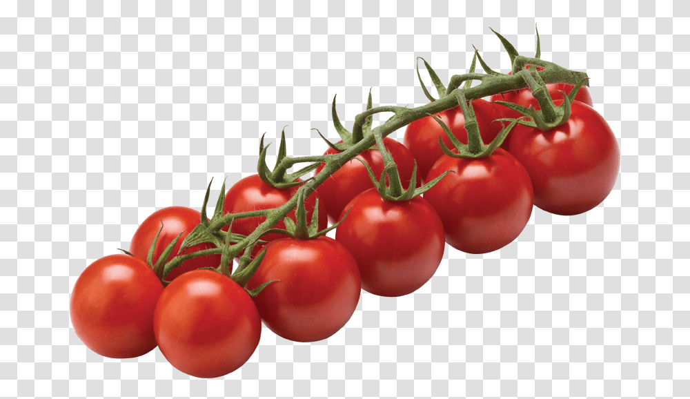 Tomato Cherry On Vine Tomato Cherry On Vine, Plant, Vegetable, Food Transparent Png
