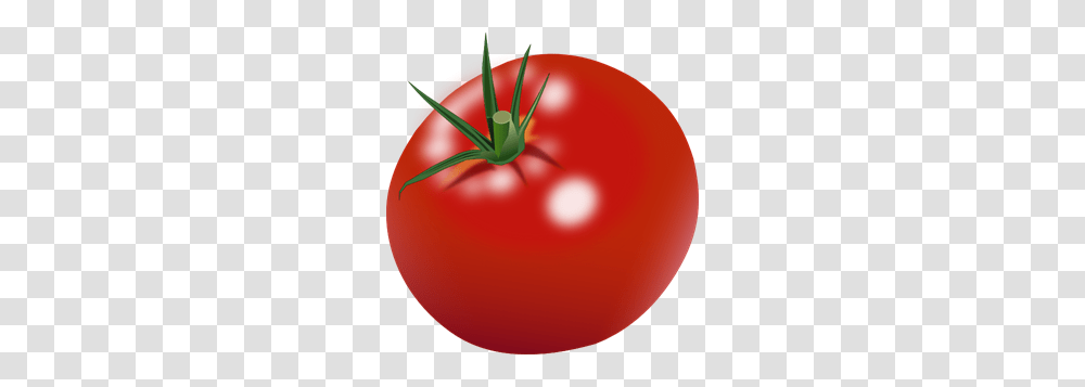 Tomato Clip Art For Web, Plant, Vegetable, Food, Balloon Transparent Png