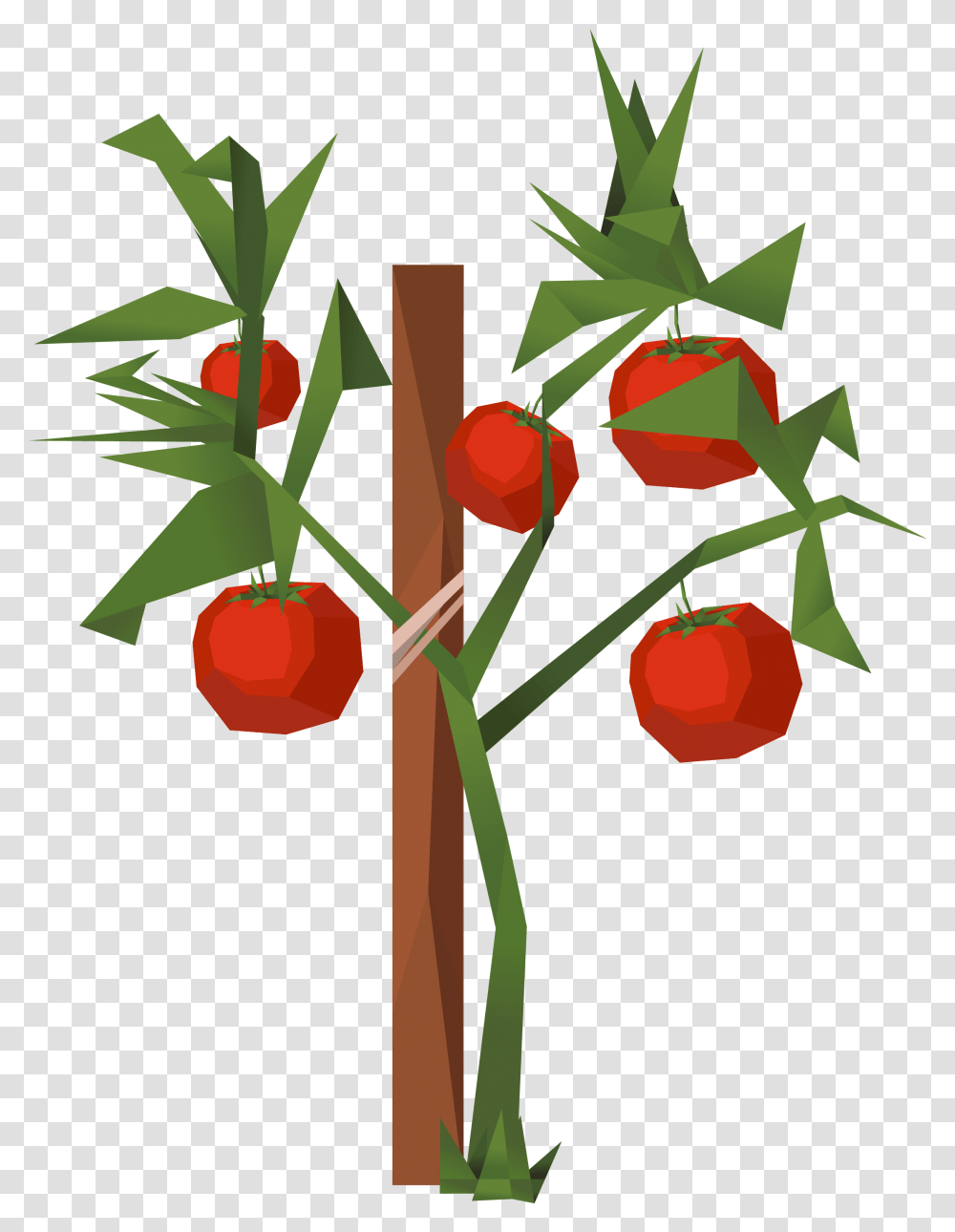 Tomato Clip Art, Plant, Tree, Leaf Transparent Png