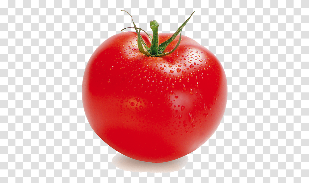 Tomato Clipart Clipart Background Tomato, Plant, Vegetable, Food Transparent Png