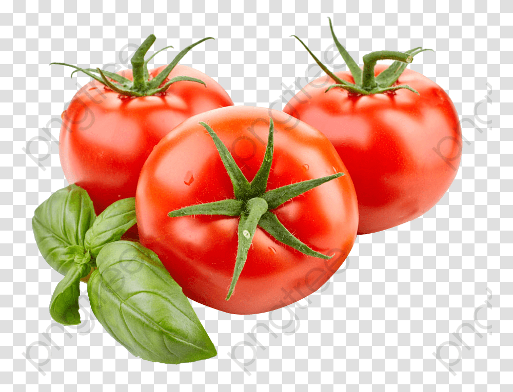 Tomato Clipart Cut Tomato, Plant, Vegetable, Food Transparent Png