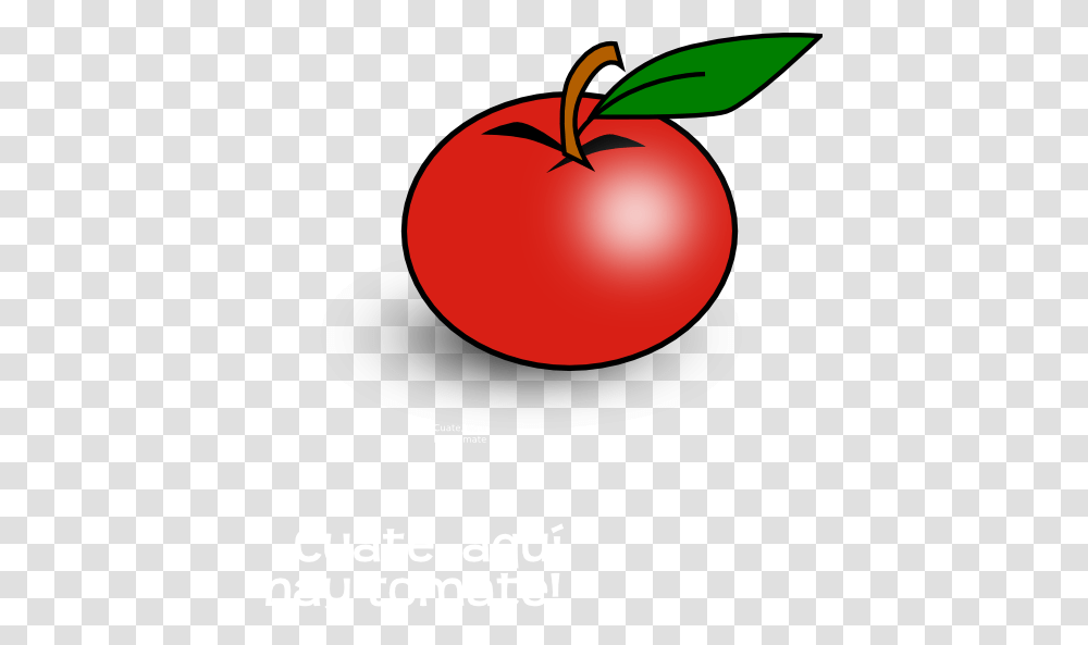 Tomato Clipart Eggplant Plant, Food, Vegetable, Fruit, Apple Transparent Png