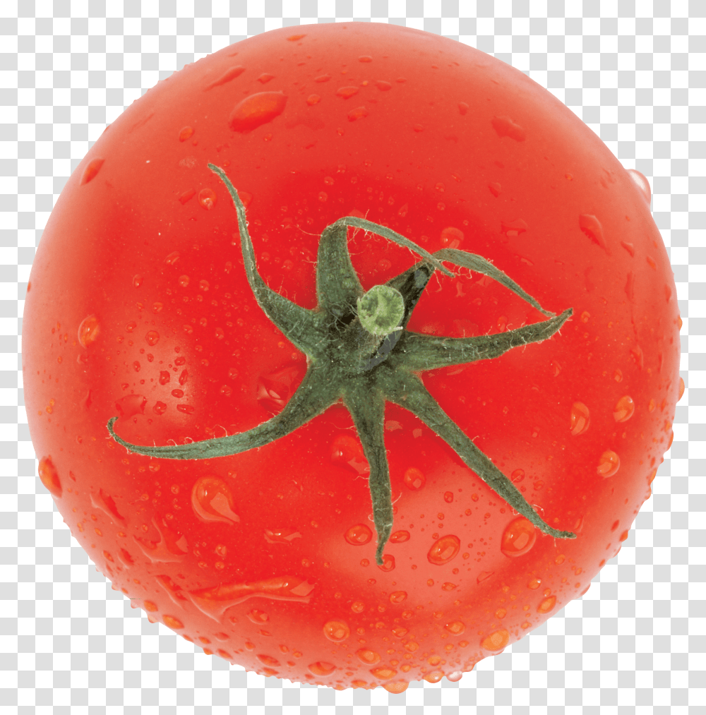 Tomato Clipart Fruit Top, Plant, Vegetable, Food, Fungus Transparent Png