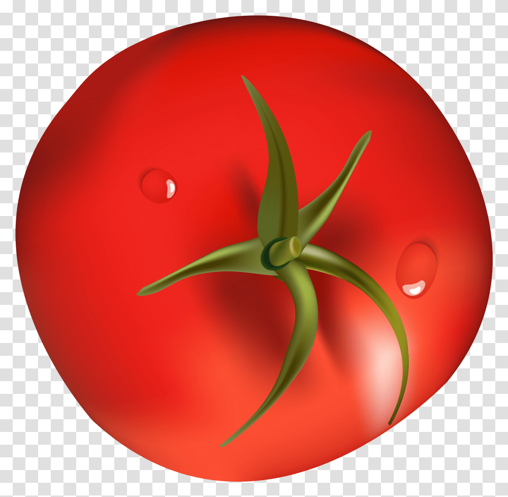 Tomato Clipart, Plant, Vegetable, Food, Balloon Transparent Png