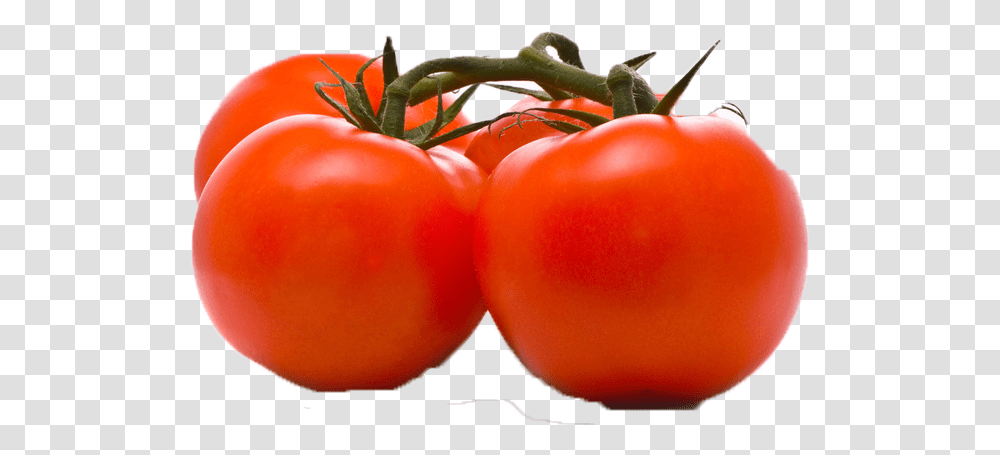 Tomato Clipart, Plant, Vegetable, Food, Produce Transparent Png