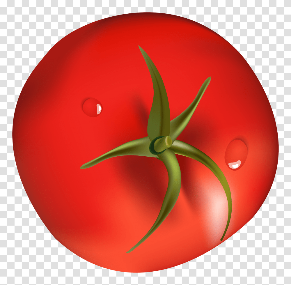 Tomato Clipart, Plant, Vegetable, Food Transparent Png