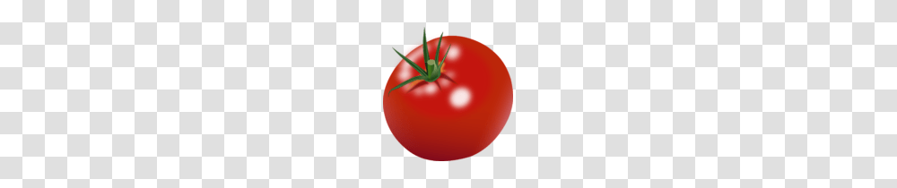 Tomato Clipart Tomate Clip Art, Plant, Vegetable, Food, Balloon Transparent Png