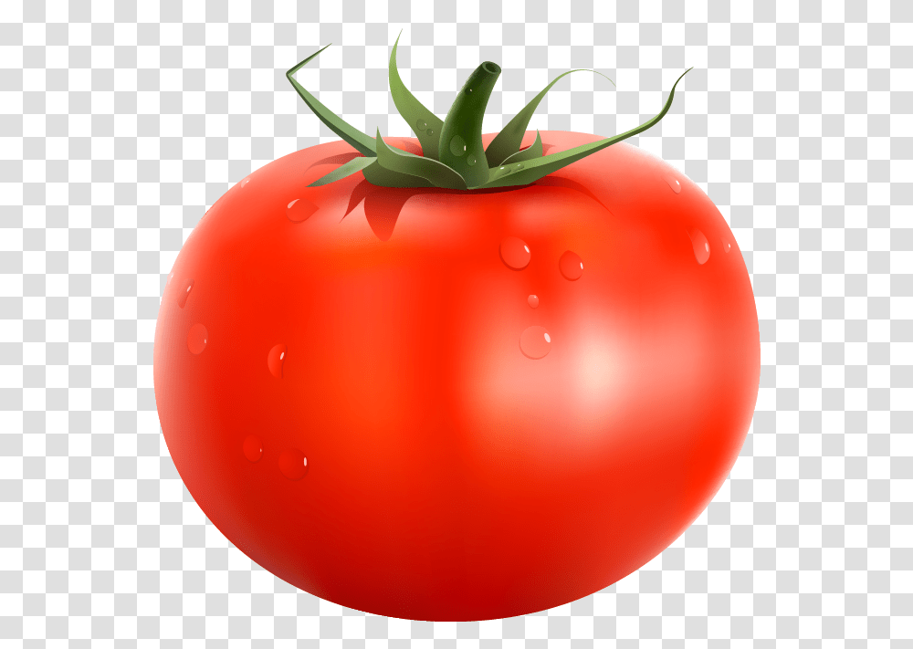 Tomato Clipart Tomato, Plant, Vegetable, Food, Balloon Transparent Png