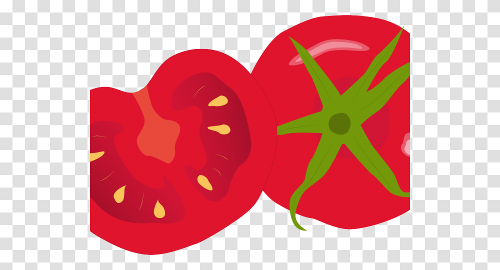 Tomato Clipart Tomato Seed, Plant, Vegetable, Food, Sliced Transparent Png