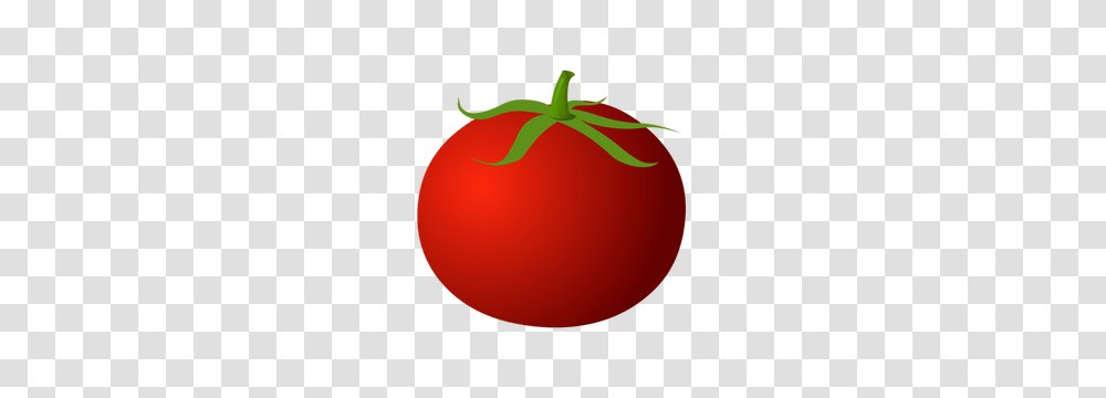 Tomato Free Clipart, Plant, Vegetable, Food, Balloon Transparent Png