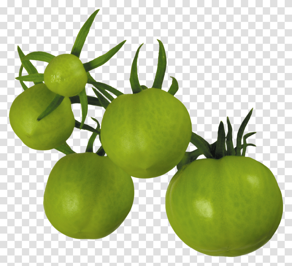 Tomato Free Download Green Tomato, Plant, Food, Vegetable, Fruit Transparent Png